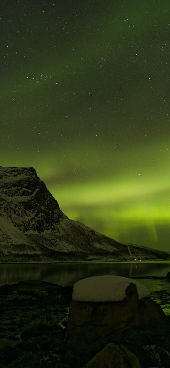 northern lights, night, green Wallpaper 1080x2340