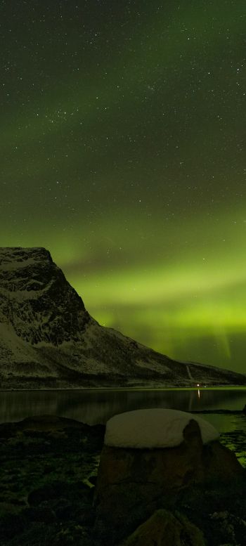 northern lights, night, green Wallpaper 1080x2400