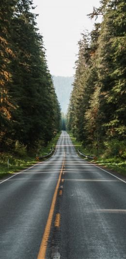 road, highway, asphalt Wallpaper 1080x2220