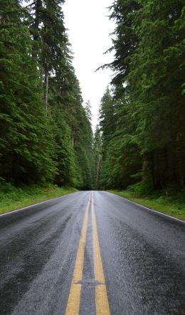 asphalt, road, highway Wallpaper 600x1024