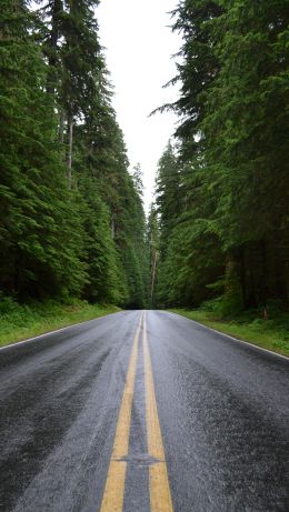 asphalt, road, highway Wallpaper 640x1136