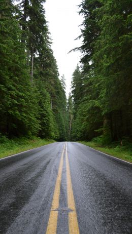 asphalt, road, highway Wallpaper 1080x1920