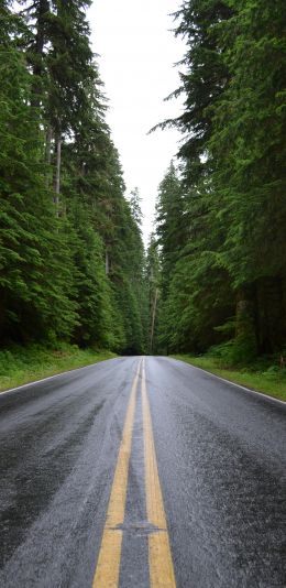 asphalt, road, highway Wallpaper 1080x2220