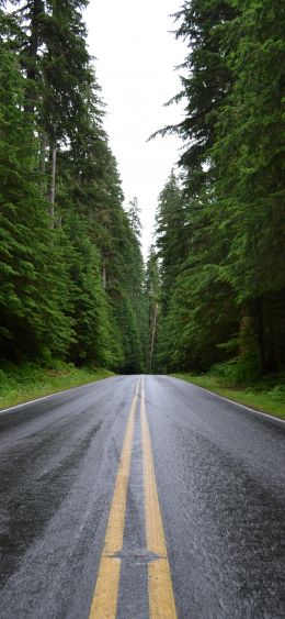 asphalt, road, highway Wallpaper 1080x2340