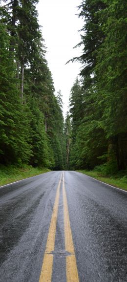 asphalt, road, highway Wallpaper 1080x2400