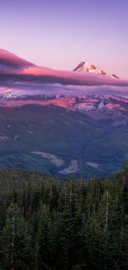 Mount Hood, mountain, landscape Wallpaper 1440x3040