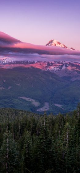 Mount Hood, mountain, landscape Wallpaper 1284x2778