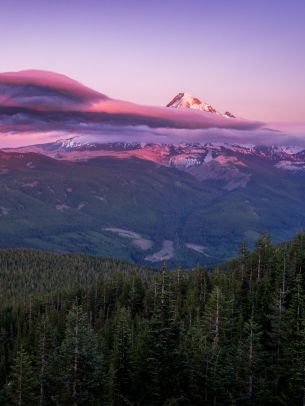 Mount Hood, mountain, landscape Wallpaper 1620x2160