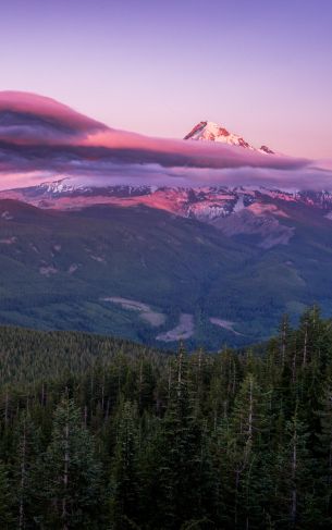 Mount Hood, mountain, landscape Wallpaper 1752x2800