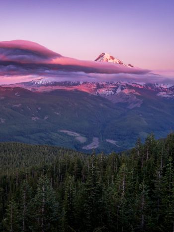 Mount Hood, mountain, landscape Wallpaper 1620x2160