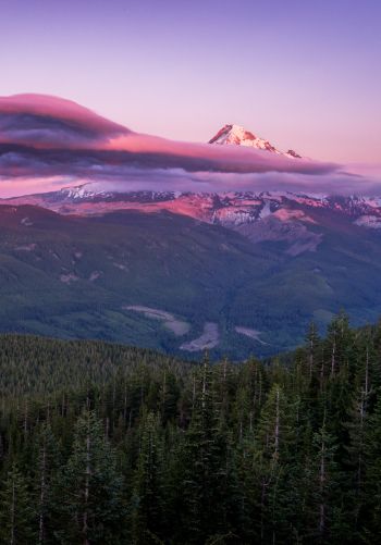 Mount Hood, mountain, landscape Wallpaper 1668x2388