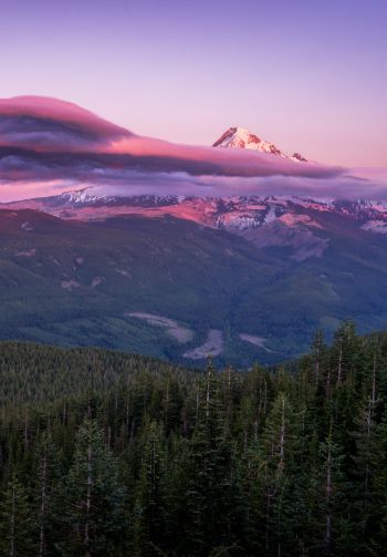Mount Hood, mountain, landscape Wallpaper 1640x2360
