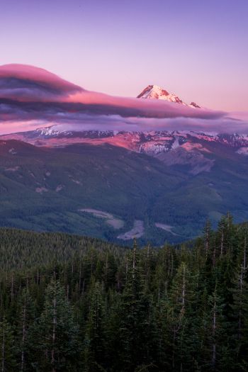 Mount Hood, mountain, landscape Wallpaper 640x960