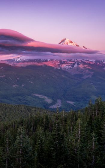 Mount Hood, mountain, landscape Wallpaper 800x1280