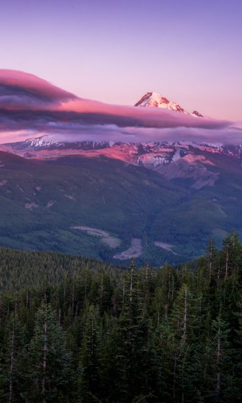 Mount Hood, mountain, landscape Wallpaper 1200x2000