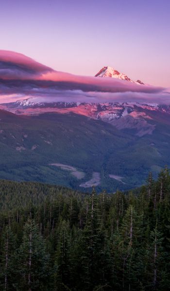 Mount Hood, mountain, landscape Wallpaper 600x1024