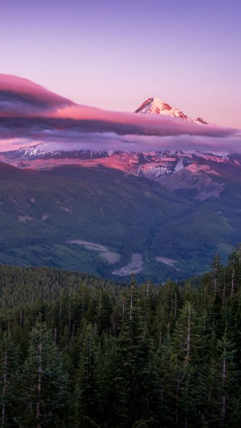Mount Hood, mountain, landscape Wallpaper 640x1136