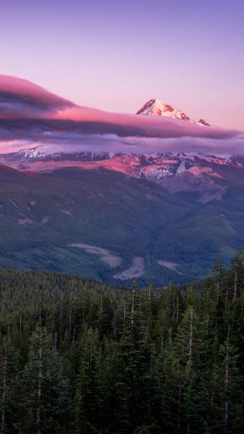 Mount Hood, mountain, landscape Wallpaper 1440x2560