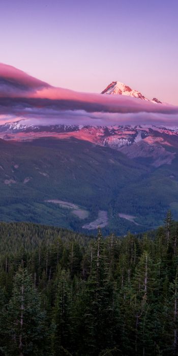 Mount Hood, mountain, landscape Wallpaper 720x1440