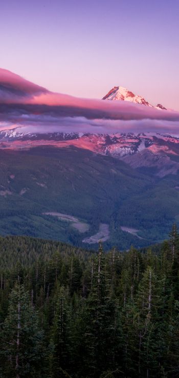 Mount Hood, mountain, landscape Wallpaper 1440x3040