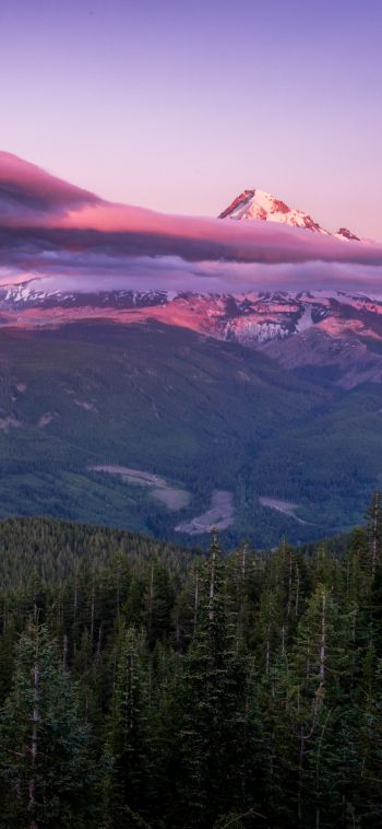 Mount Hood, mountain, landscape Wallpaper 1080x2340
