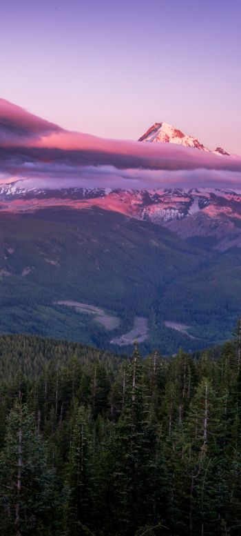 Mount Hood, mountain, landscape Wallpaper 1080x2400