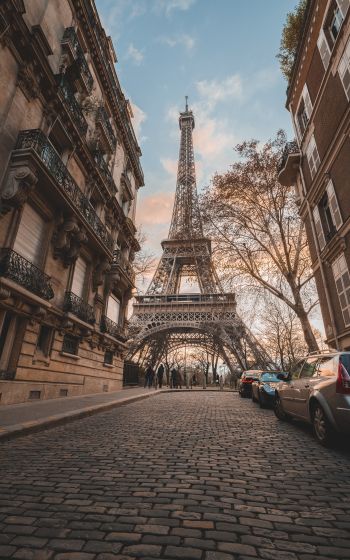 Eiffel Tower, Paris, France Wallpaper 1200x1920