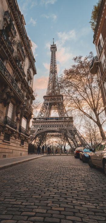 Eiffel Tower, Paris, France Wallpaper 1440x3040
