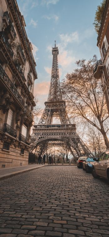 Eiffel Tower, Paris, France Wallpaper 828x1792