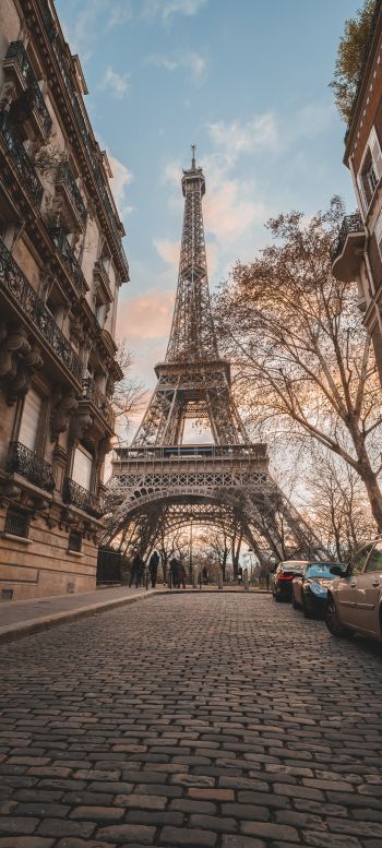 Обои 1440x3200 Эйфелева башня, Париж, Франция