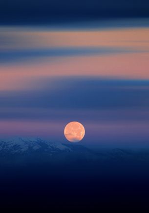 night, moon, blue Wallpaper 1640x2360