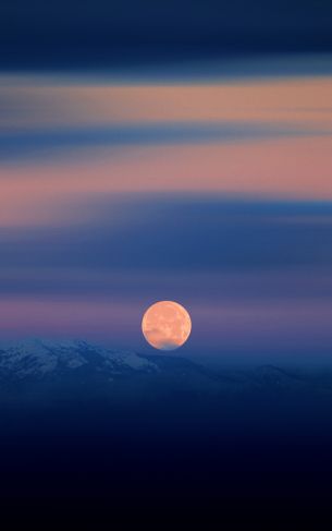 night, moon, blue Wallpaper 1752x2800