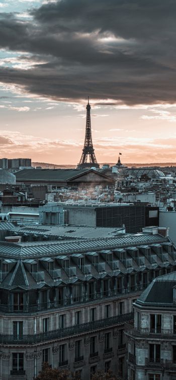 Paris, France, city Wallpaper 828x1792
