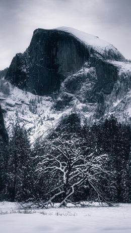 winter, landscape, snow Wallpaper 640x1136