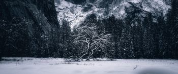 winter, landscape, snow Wallpaper 3440x1440