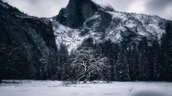 Обои 1600x900 зима, пейзаж, снег