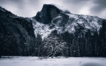 winter, landscape, snow Wallpaper 2560x1600