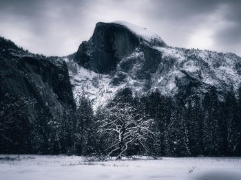 winter, landscape, snow Wallpaper 1024x768