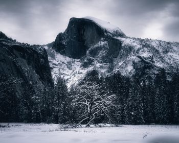 winter, landscape, snow Wallpaper 1280x1024