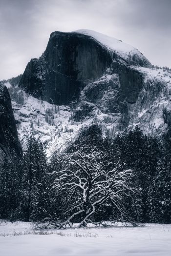 winter, landscape, snow Wallpaper 640x960