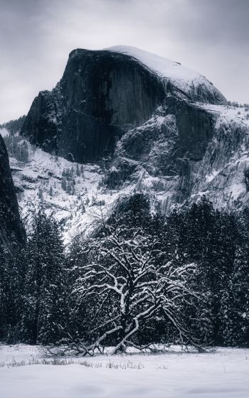 winter, landscape, snow Wallpaper 800x1280