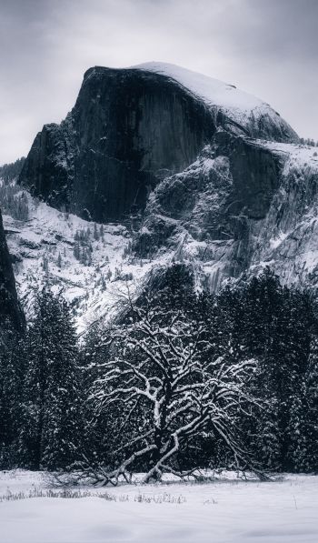 winter, landscape, snow Wallpaper 600x1024