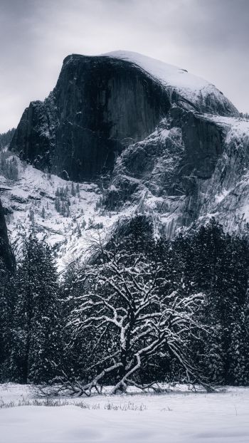 winter, landscape, snow Wallpaper 1080x1920