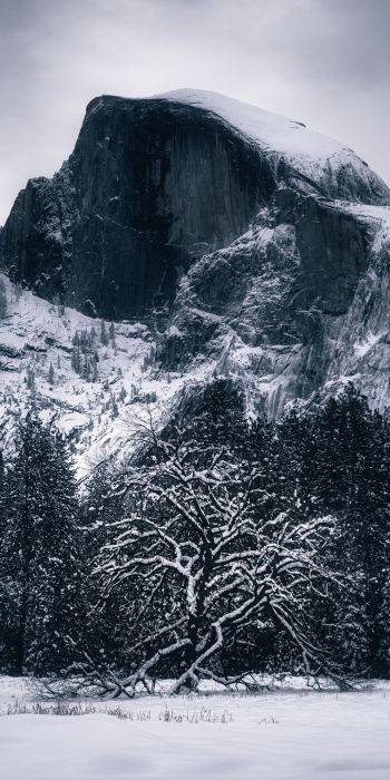 winter, landscape, snow Wallpaper 720x1440