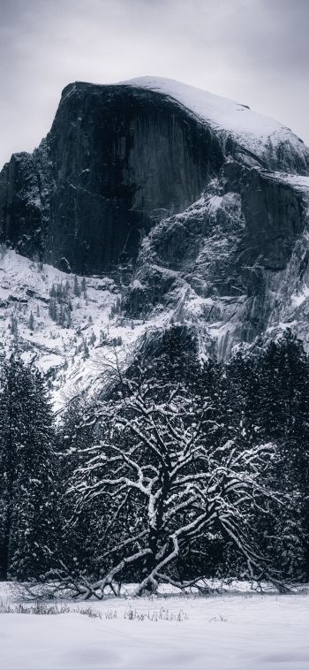 winter, landscape, snow Wallpaper 1080x2340