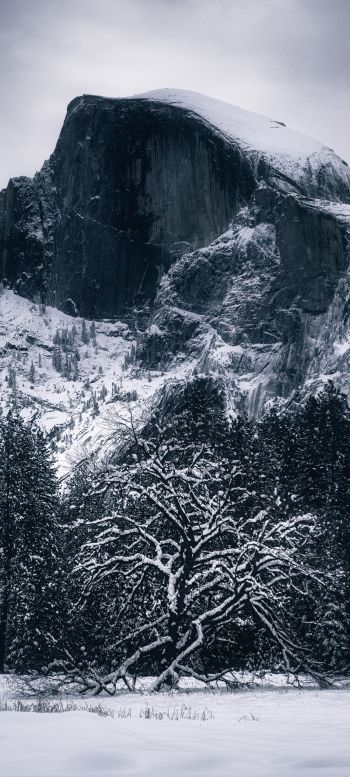 winter, landscape, snow Wallpaper 720x1600