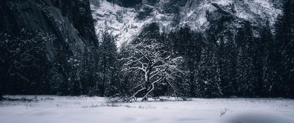 winter, landscape, snow Wallpaper 3440x1440