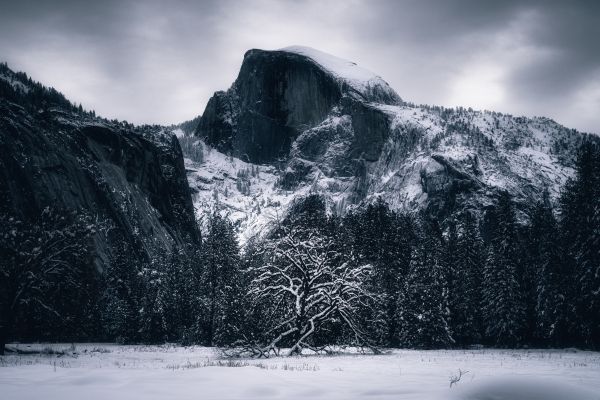 winter, landscape, snow Wallpaper 6000x4000