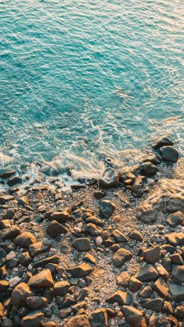 shore, beach, sea Wallpaper 640x1136