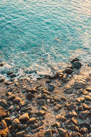 shore, beach, sea Wallpaper 640x960